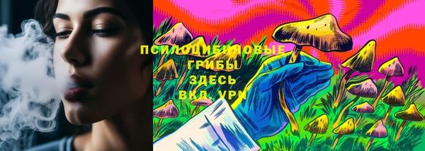 ALPHA PVP Касимов