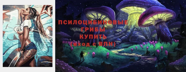 прущая мука Карпинск