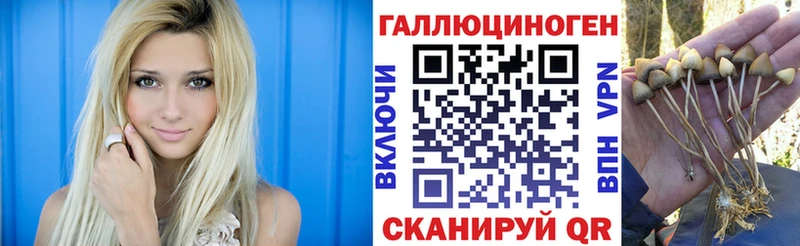 Галлюциногенные грибы мицелий  Купить закладки  Нязепетровск 